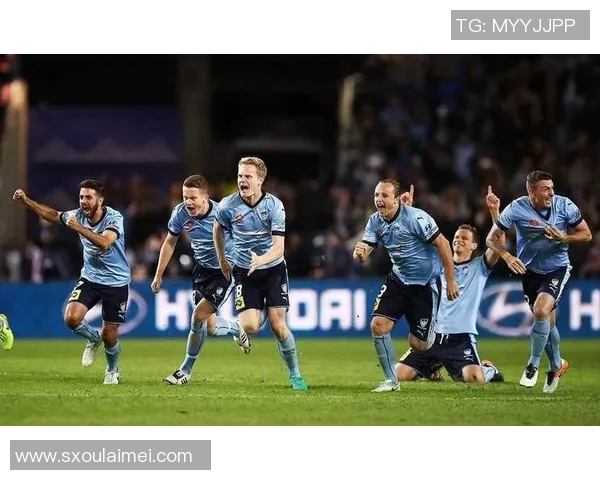 悉尼FC与蔚山现代比赛前瞻分析及胜负预测展望 悉尼FC与蔚山现代比赛前瞻分析及胜负预测展望