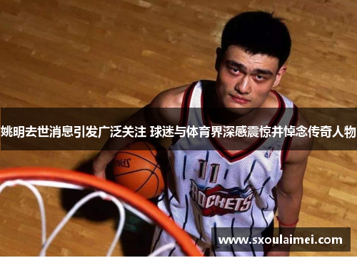 姚明去世消息引发广泛关注 球迷与体育界深感震惊并悼念传奇人物