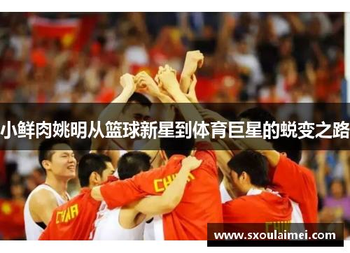 小鲜肉姚明从篮球新星到体育巨星的蜕变之路