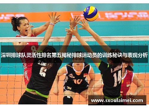 深圳排球队灵活性排名第五揭秘排球运动员的训练秘诀与表现分析