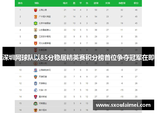 深圳网球队以85分稳居精英赛积分榜首位争夺冠军在即